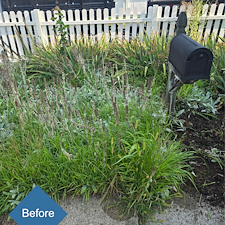 A-Fresh-Start-Planting-Landscape-Design-in-Stratford-CT 10